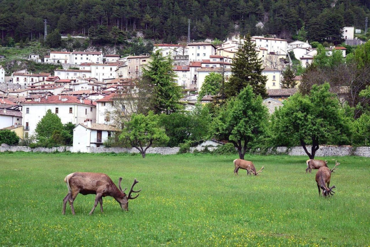 Holiday home Casavacanza Al Castello 2 *